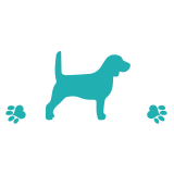 Rescue + Freedom Project