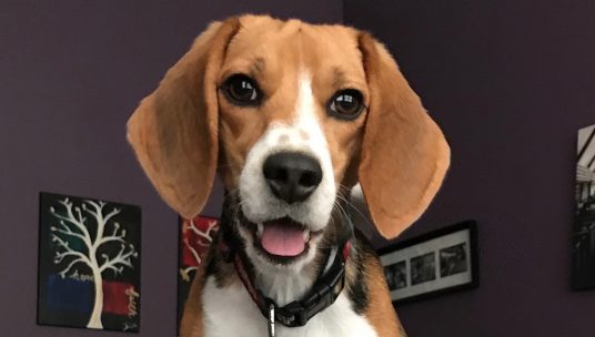 Finley’s Story